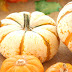 3 Ways to "Up Cycle" your Mini Pumpkins
