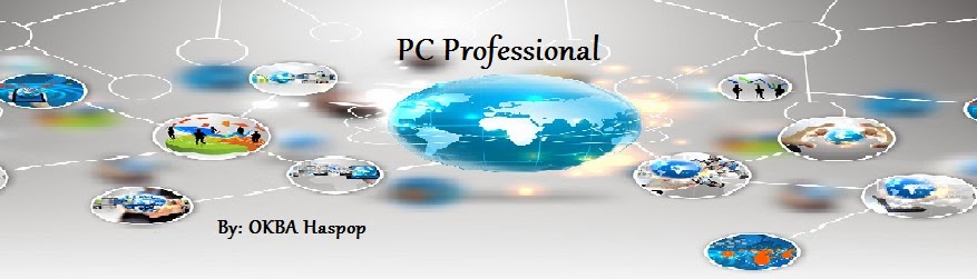 PC Professional
