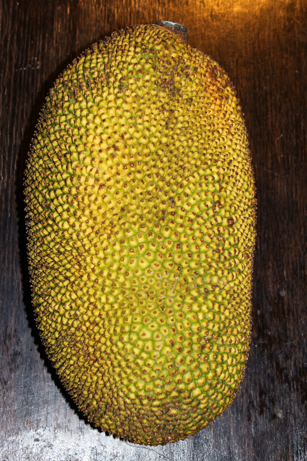 Edible Tropicals How to Grow, Eat and Cook Jackfruit