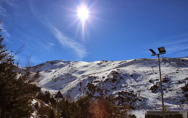 escapada a sierra nevada con niños, mirlo blanco, hoya mora