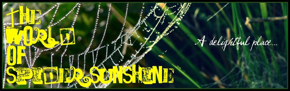 The World of Spider Sunshine