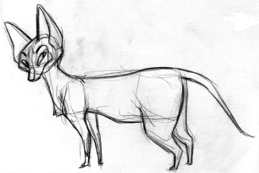 How to draw a cat mélanie daigle: cat drawing