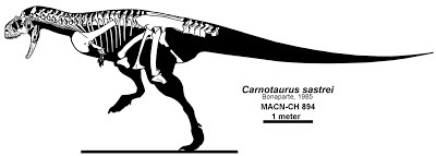 Argentinian dinosaurs