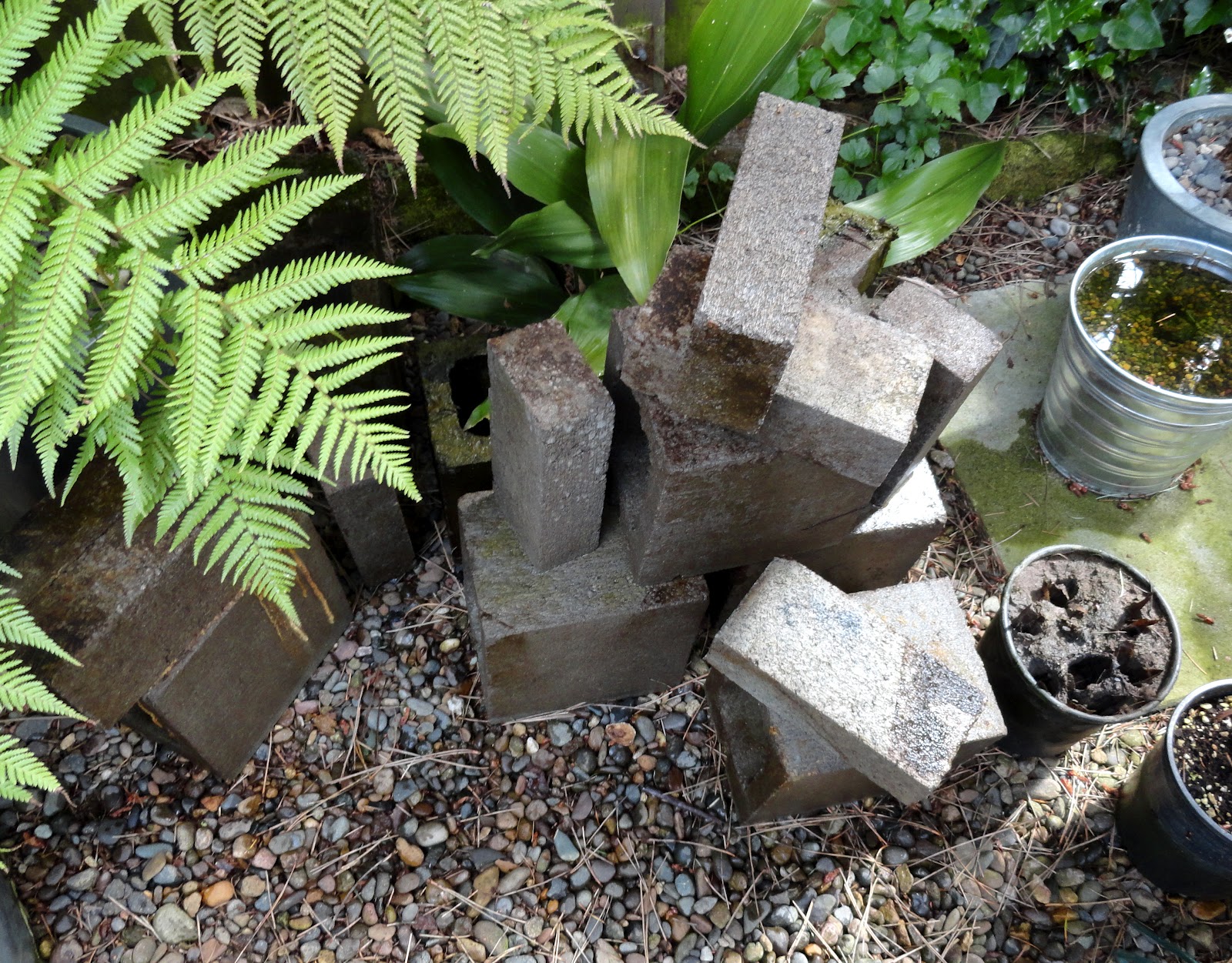 Pond-cleaning-supplies.jpg