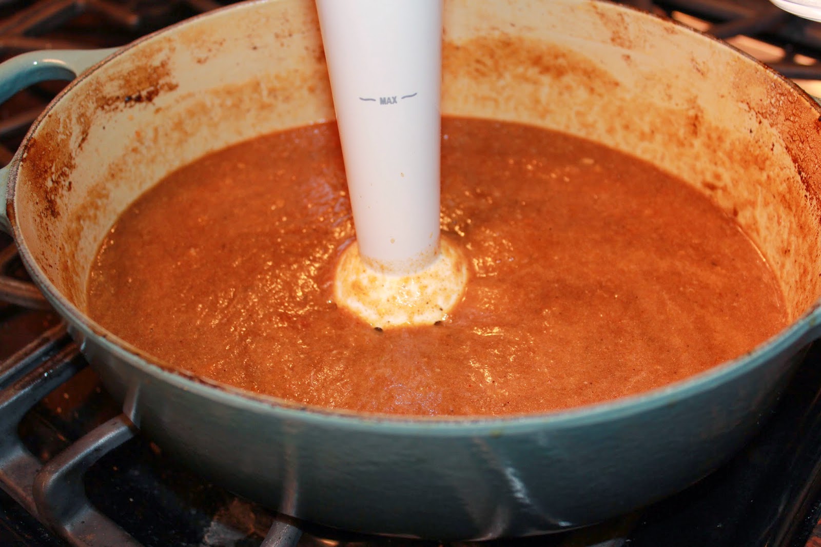 Michelle's Tasty Creations Authentic Mexican Shredded Beef