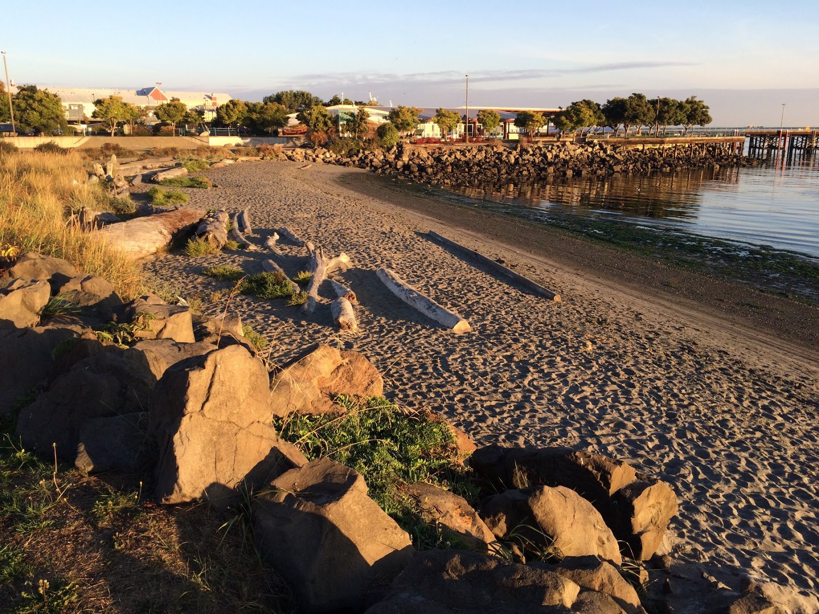 Gravel Beach October 2014