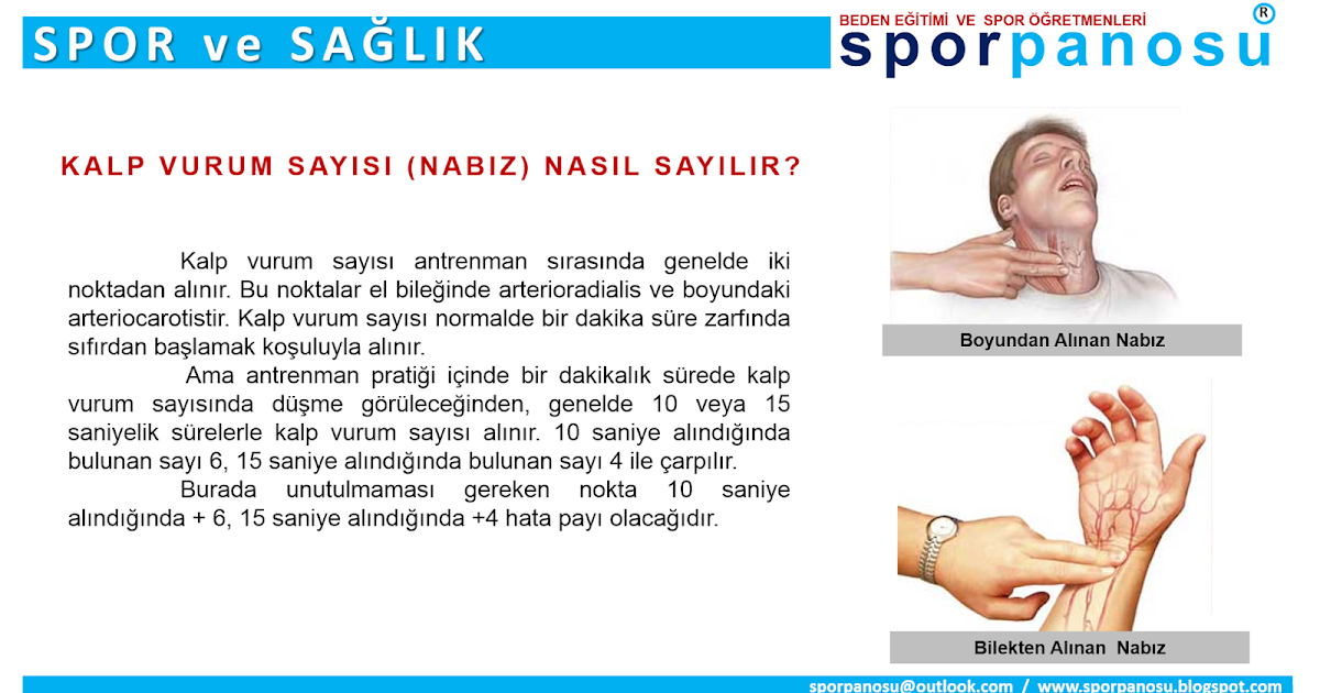 Kalp Vurum Sayısı Nasıl Sayılır? Kalp Vurum Sayısı Nasıl Sayılır?