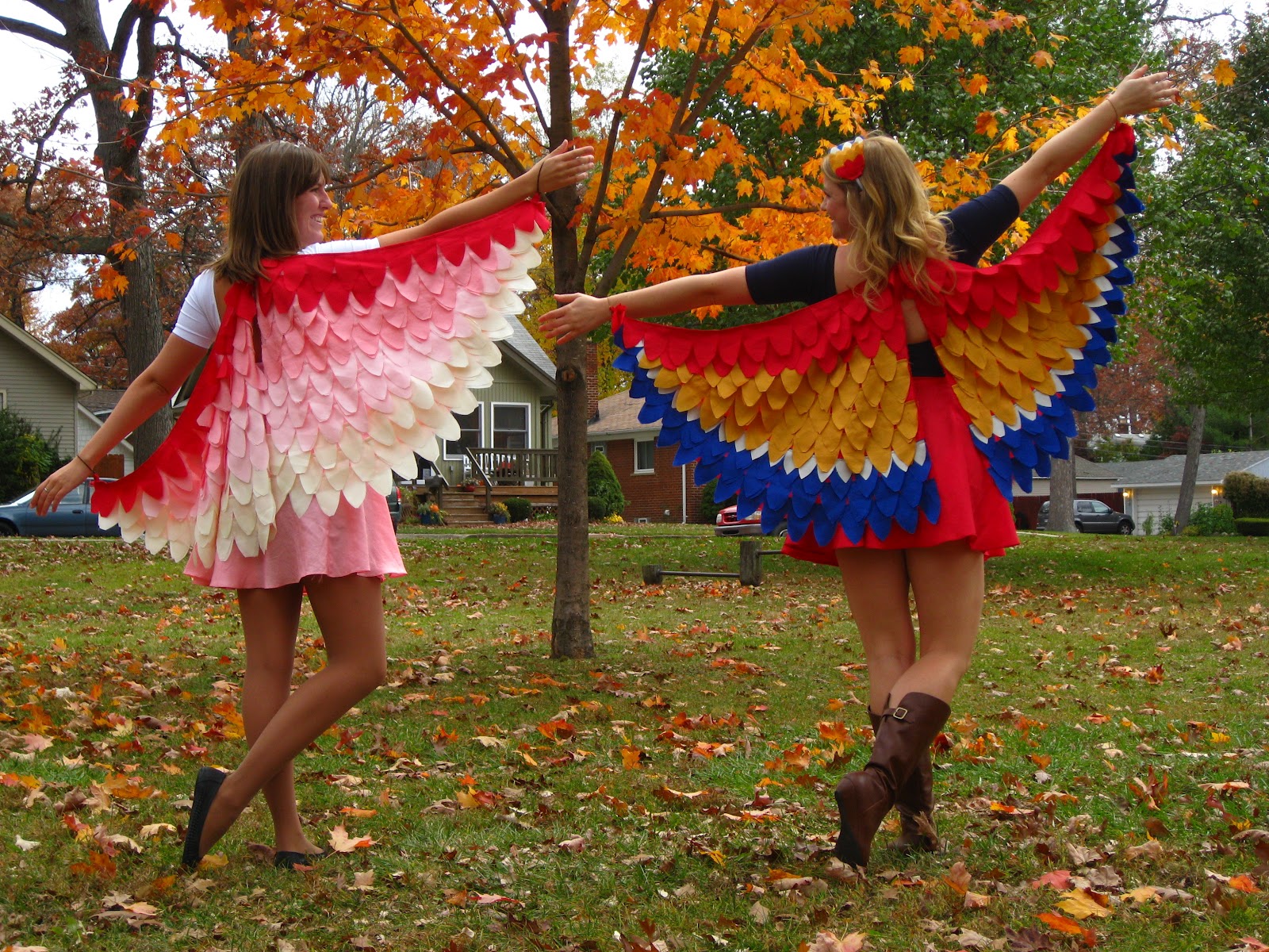 Bird Wings DIY Costumes