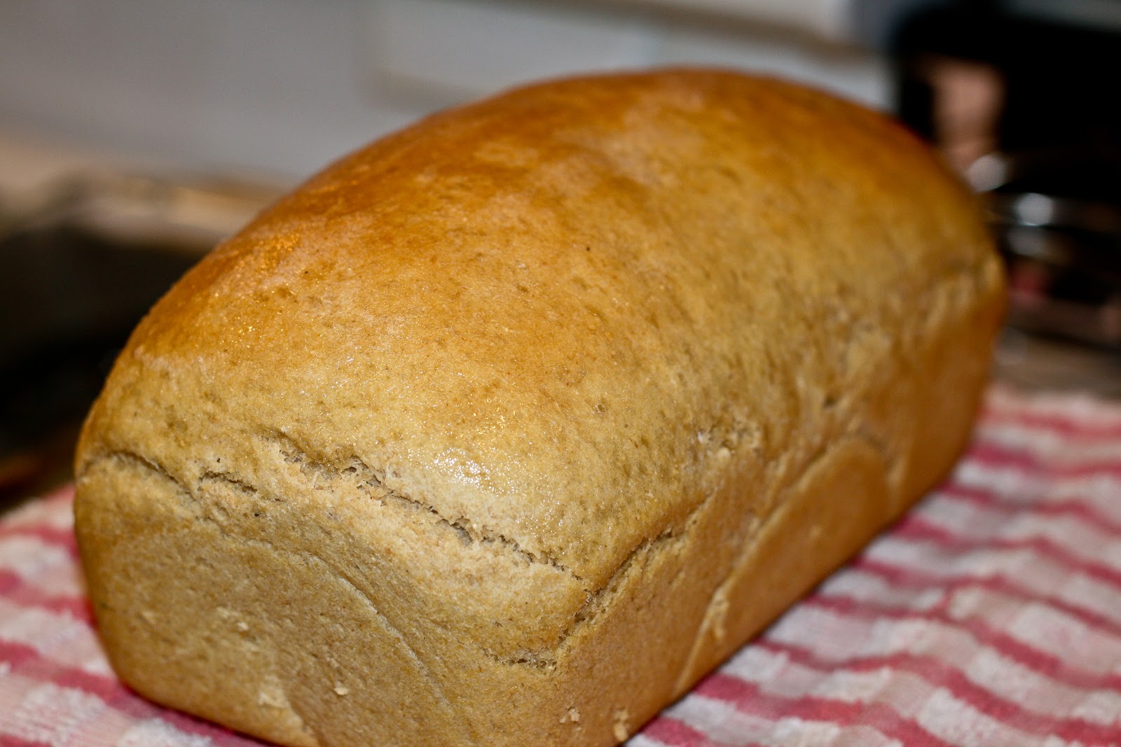 Homemade Whole Grain Kamut Bread Muncher Cruncher