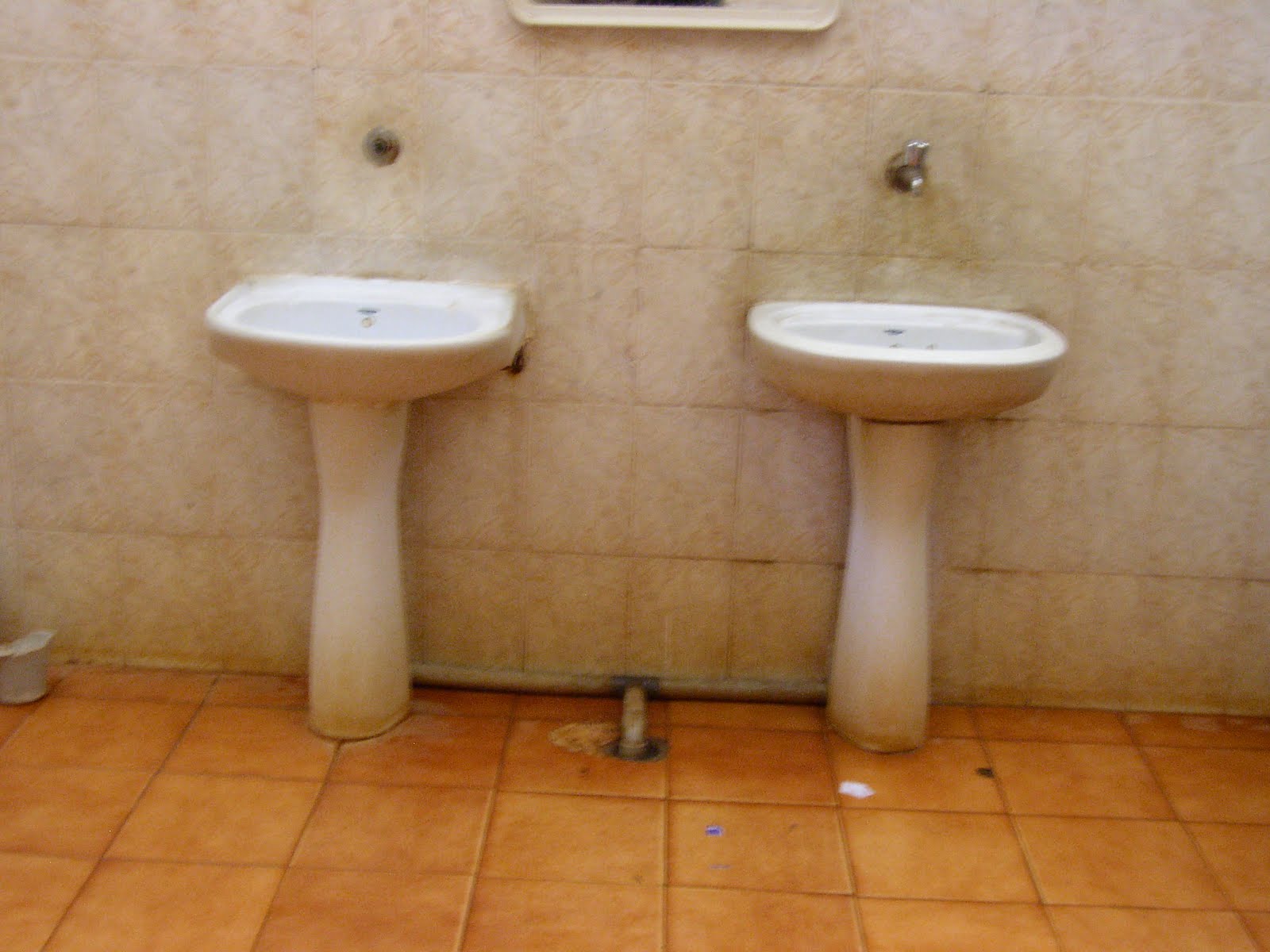 The Privy Counsel (A Bog Blog) A Passage to India More Indian Toilets