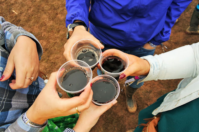 Music Festival Drinks With Friends Music Festival Drinks With Friends