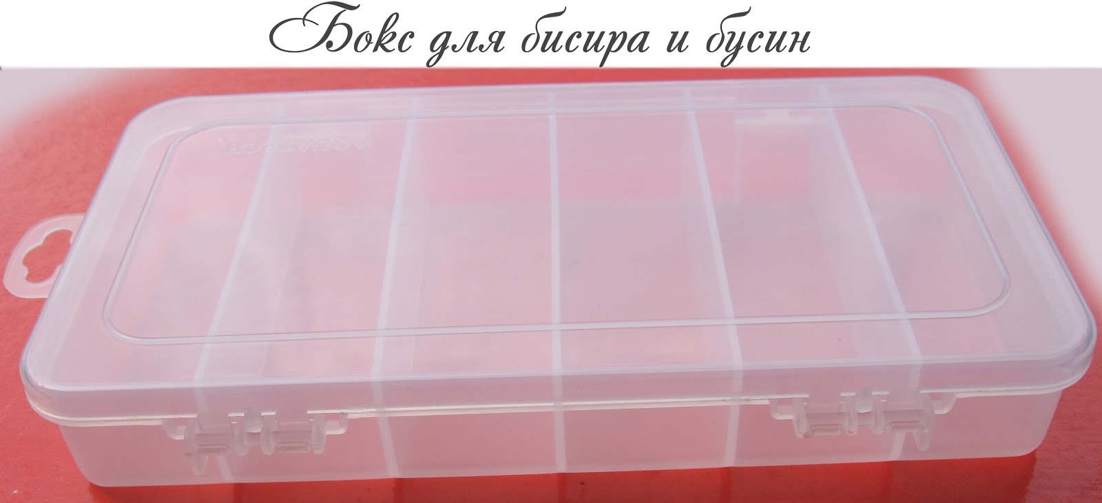 Посадка и уход за маргаритками фото Посадка и уход за маргаритками фото
