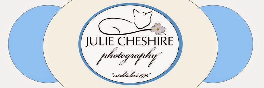 Julie Cheshire Photography