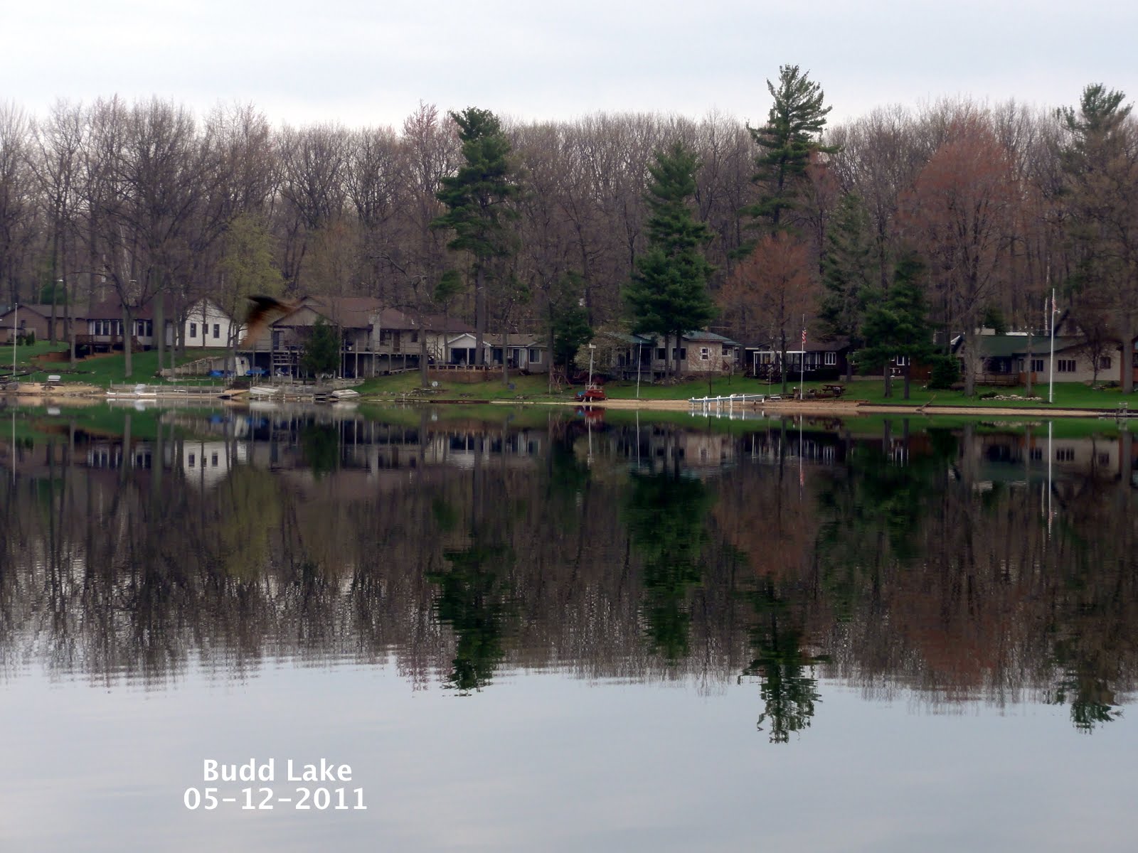 Daniel Hostetler Budd Lake Harrison, Michigan 05122011