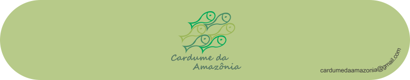 Cardume da Amazonia Jóias