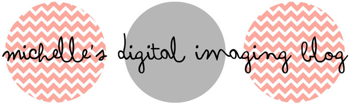 Digital Imaging Blog
