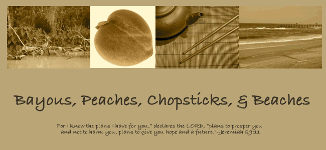 Bayous, Peaches, Chopsticks, & Beaches