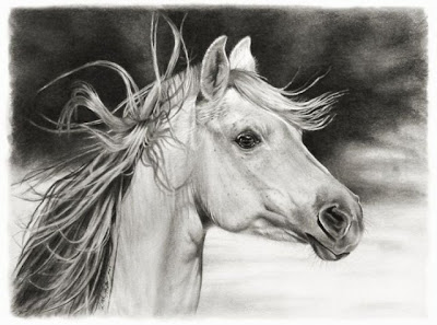 Beautiful and Amazing Pencil Drawings pictures