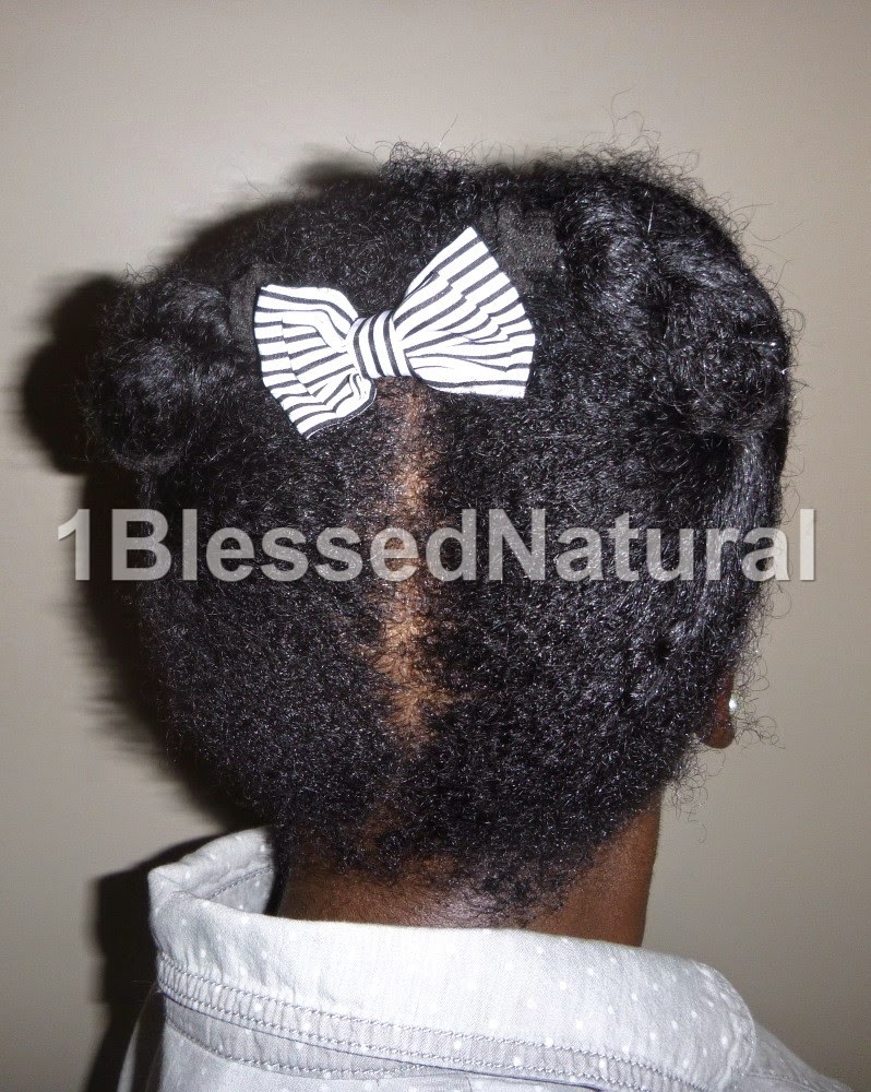 Copyright 2015 1BlessedNatural - back of twisted and banded protective style