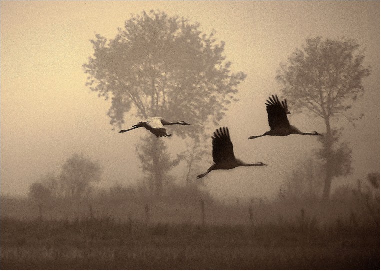 Compact Camera, Best Photo of the Day in Emphoka by Julia Delgado, Sony Cyber-shot HX200, https://flic.kr/p/aE1UAy Compact Camera, Best Photo of the Day in Emphoka by Julia Delgado, Sony Cyber-shot HX200, https://flic.kr/p/aE1UAy