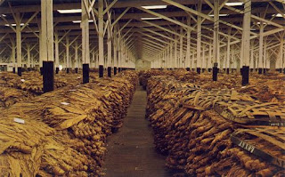 tobacco warehouse