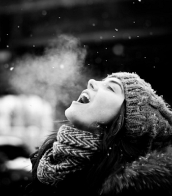EASY Ways Eucalyptus Will Help You Stay Healthy and Happy this Winter!