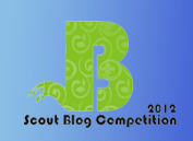 Scout Blog Competition