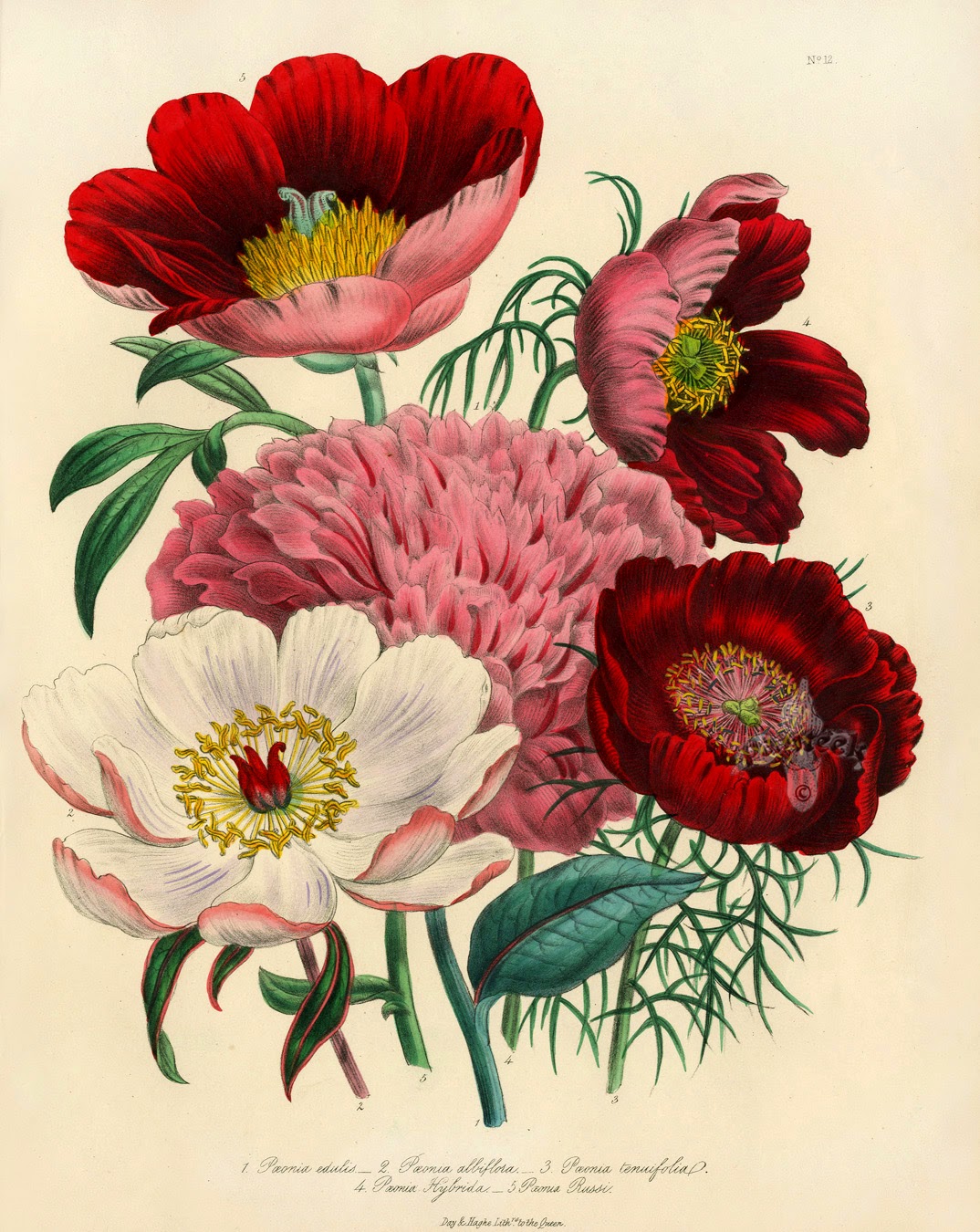 Infotainment @ www.keralites.net Fun & Info @ Keralites.net