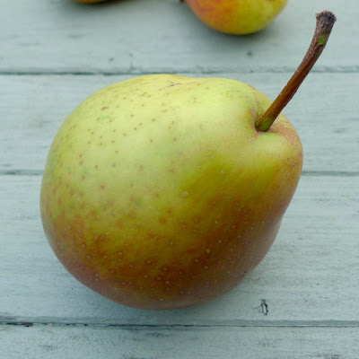 Sucrée