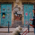 // 57ème pellicule : Les murs ont des bouches