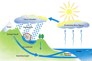 water_cycle-2.jpg water_cycle-2.jpg