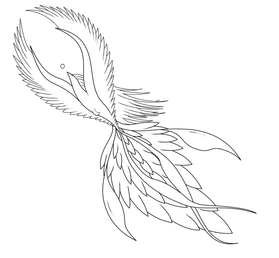 papua new guinea bird of paradise tattoo designs u2013 best bird 2017 papua new guinea bird of paradise tattoo designs u2013 best bird 2017