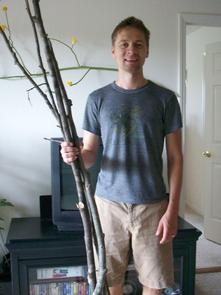 Turning a House into a Home {creating beauty on a budget} The