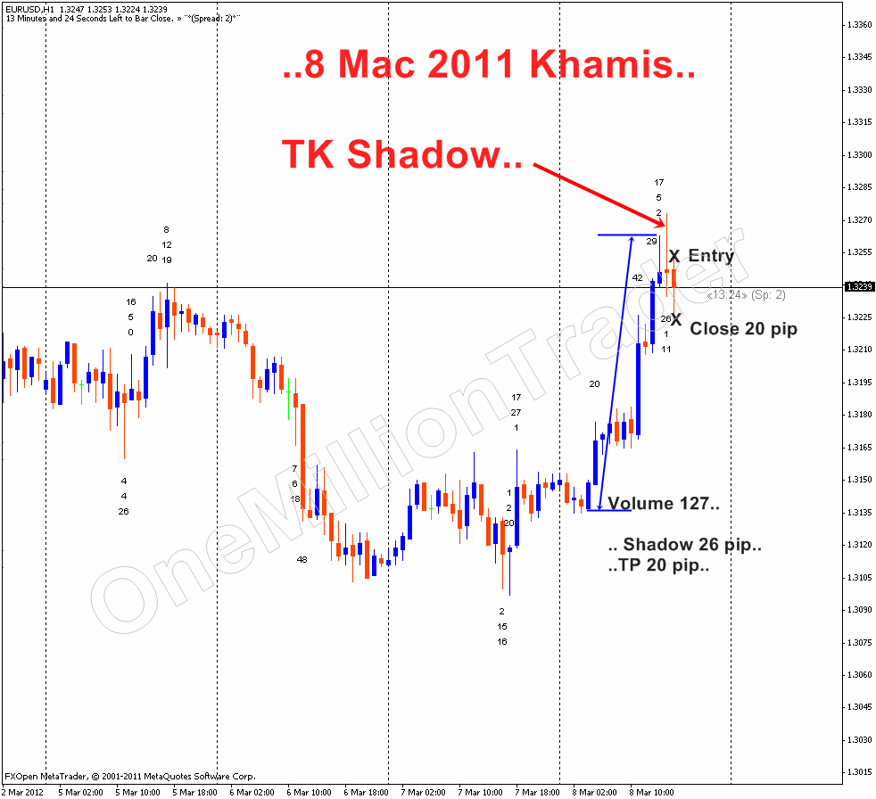 Shadow trader forex