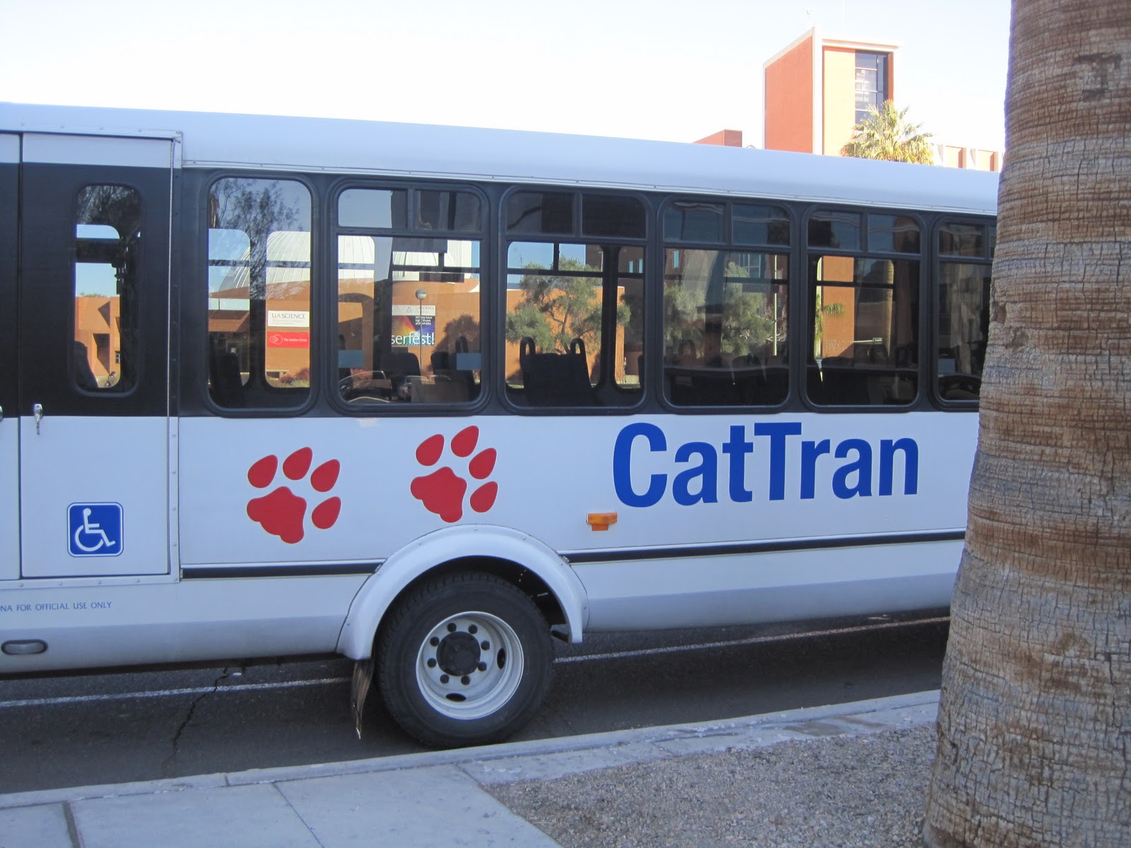 Cat Tran