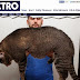 Gato de um metro e quase dez quilos encontra lar depois de longa espera