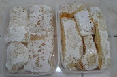 Madu Sarang 500gr