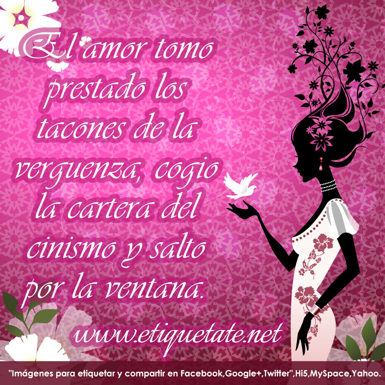 falsedad falsedad