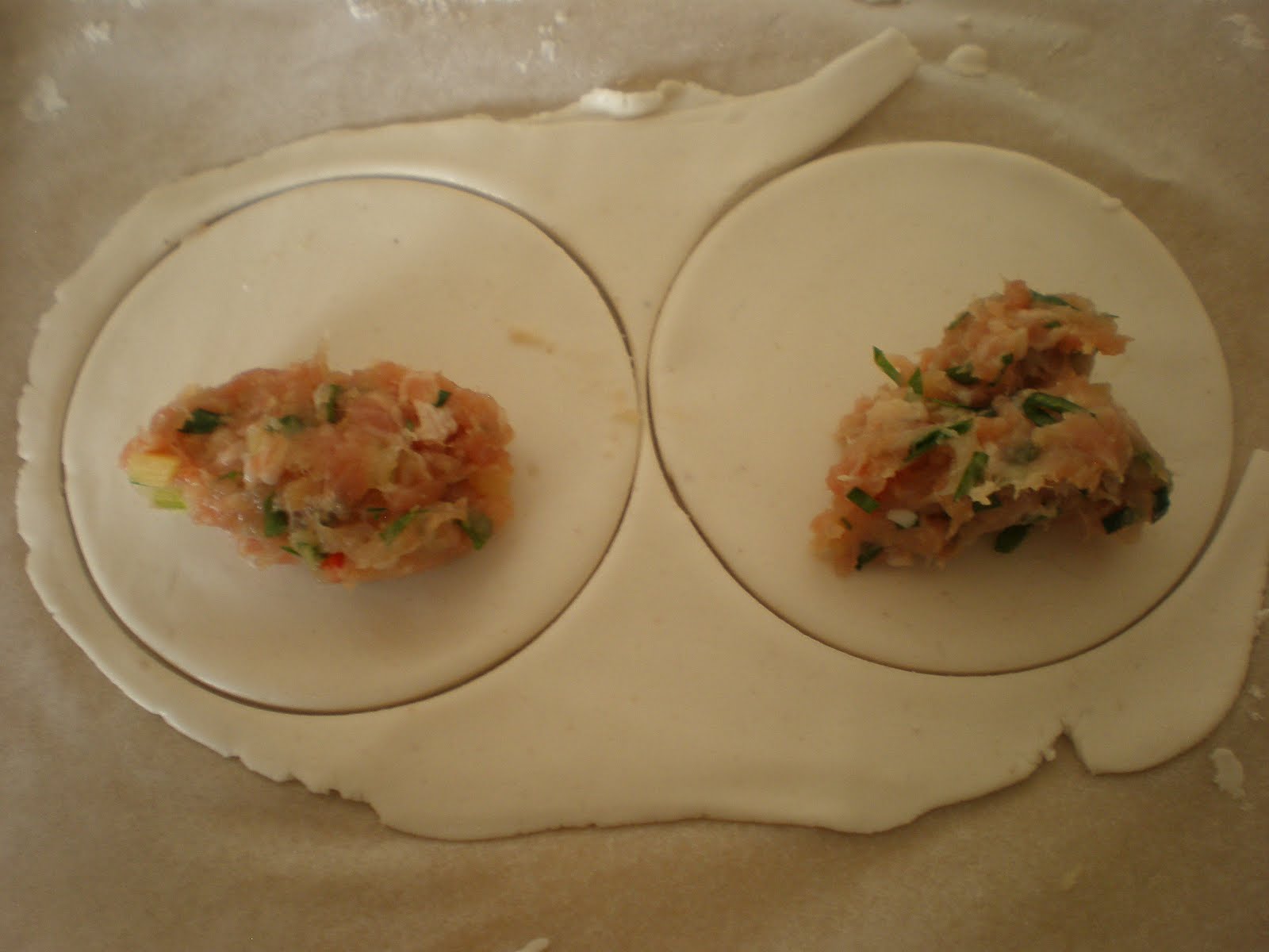 The InTolerant Chef ™ Gluten Free Chinese Dumplings