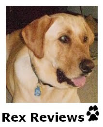 Rex the Labrador Retriever Dog Reviews, Dog Product Reviews, Dog Toys