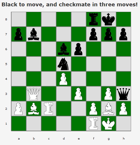 laerskool aristea primary skaak chess july 2012