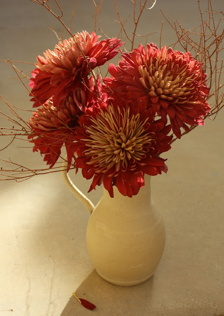 Chrysanthemums, Photography by Sarah Myers burgundy, chrysanthemums, mums, flowers, flower, arrangement, pitcher, oinochoe, amy, myers, sarah, vase, ceramic, stoneware, greek, desert, light, photography, photograph, red, wine-colour, still-life