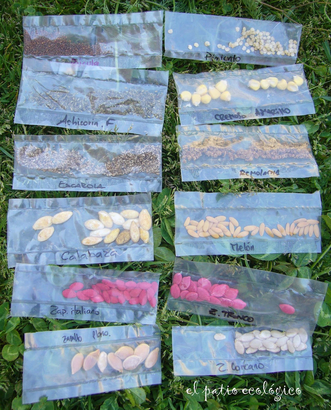 EL PATIO ECOLÓGICO semillas del mundo