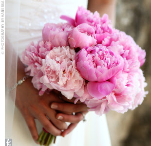 bridal peonies