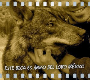 En defensa del Lobo