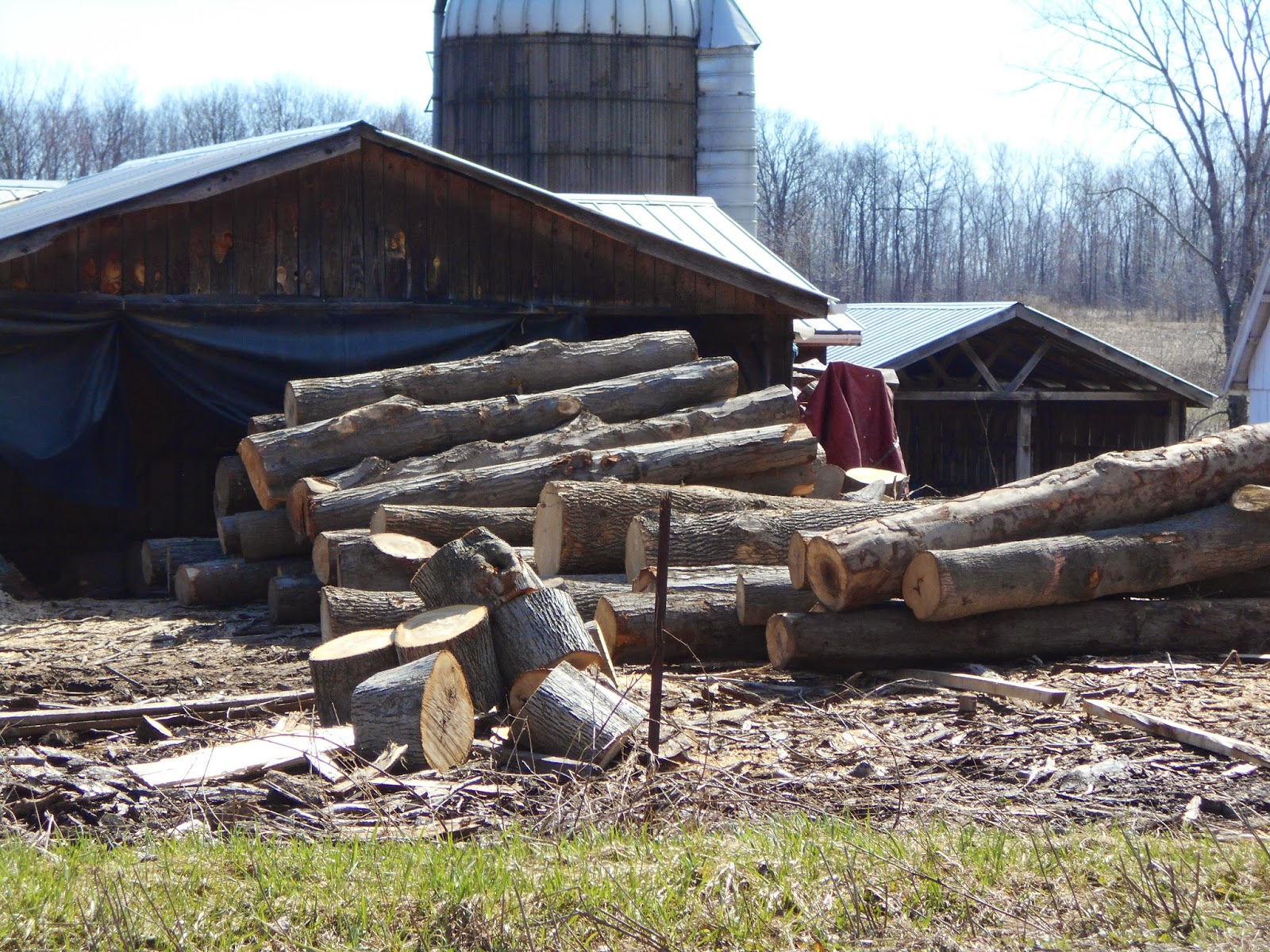 New York State of Mind OLD ORDER MENNONITE SAW MILL