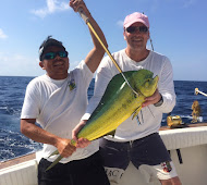 dorado 3000g (Riviera Maya Mexico)