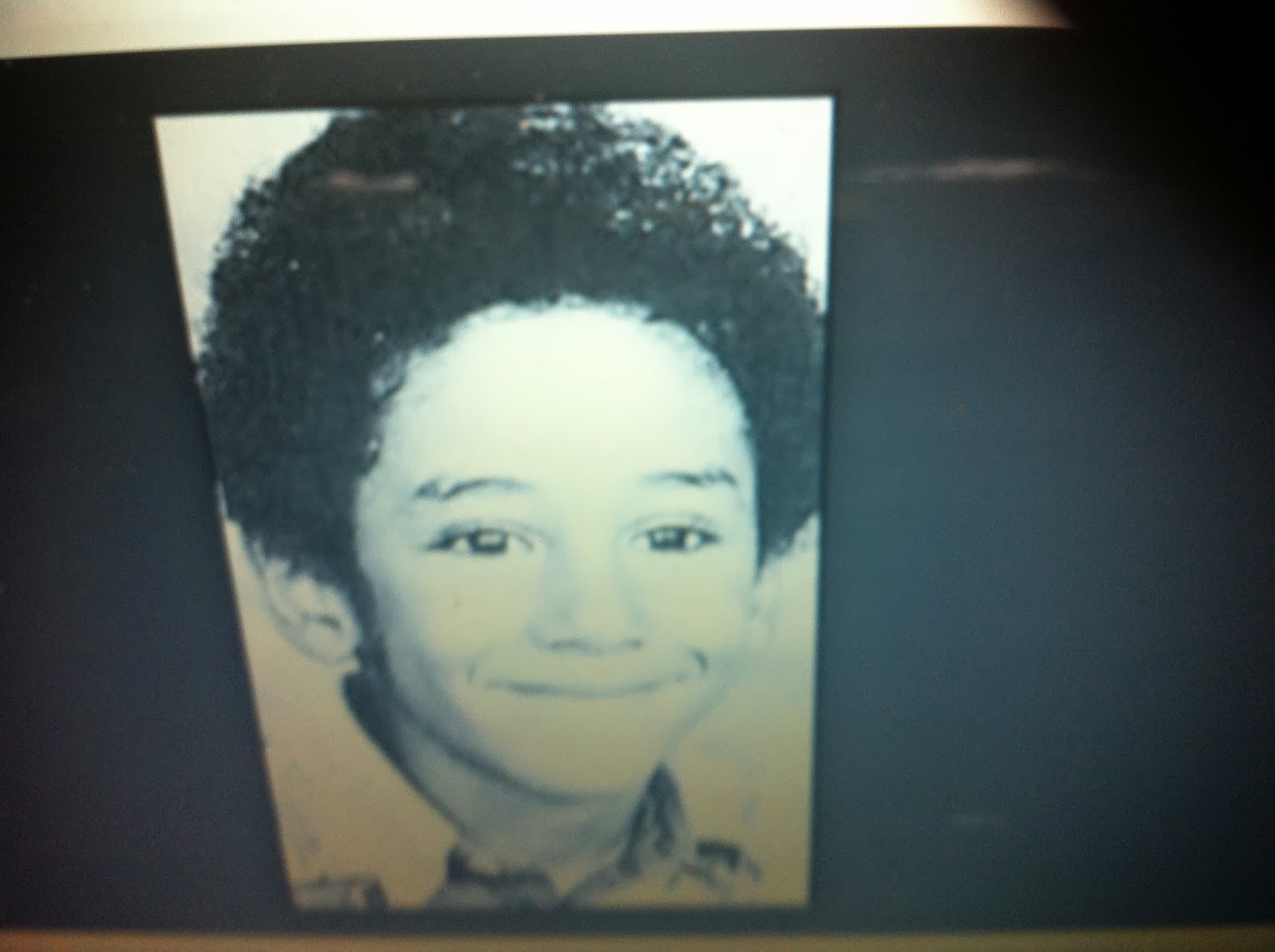 THE BLACK SOCIAL HISTORY BLACK SOCIAL HISTORY AFRICAN AMERICAN