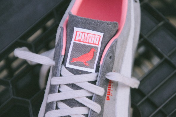 puma clyde pigeon