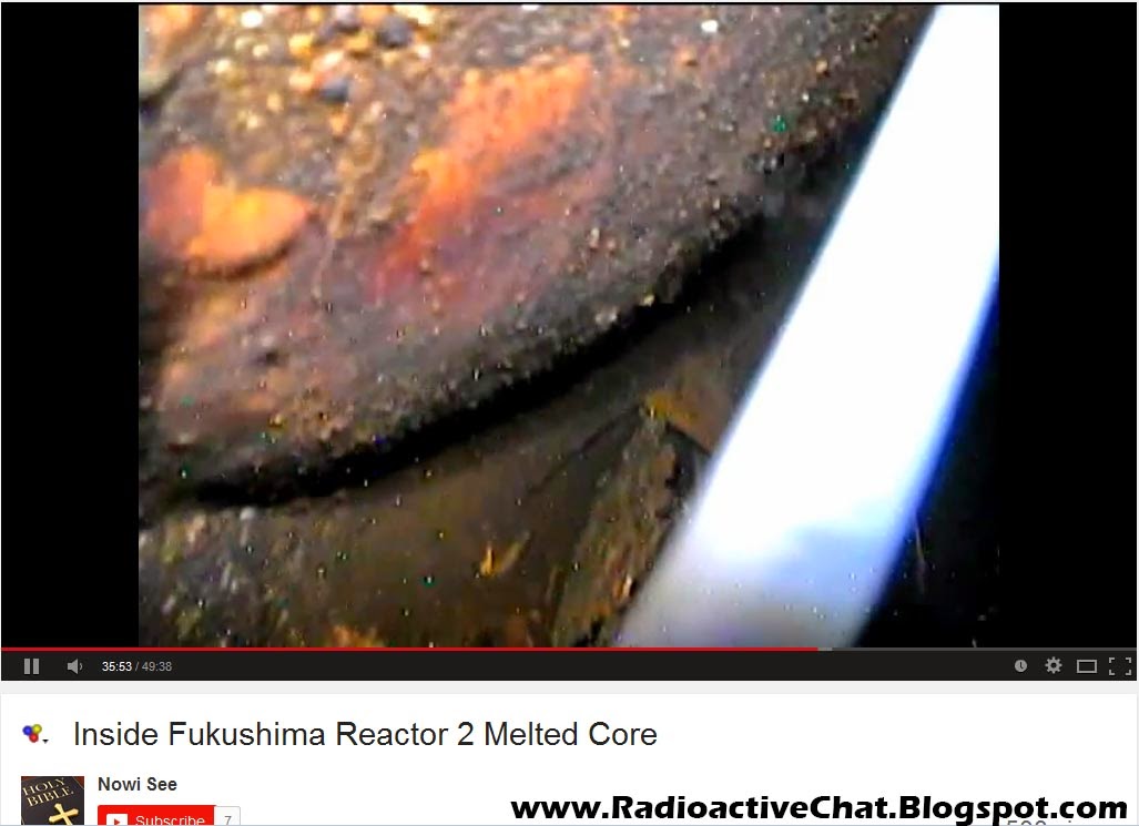 Fukushima Reactor 2 Melted Nuclear Core Video Corium China Syndrome Fukushima Reactor 2 Melted Nuclear Core Video Corium China Syndrome